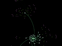 22 Population distribution demography